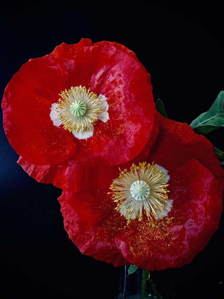 Photograph by Евгения Иванова