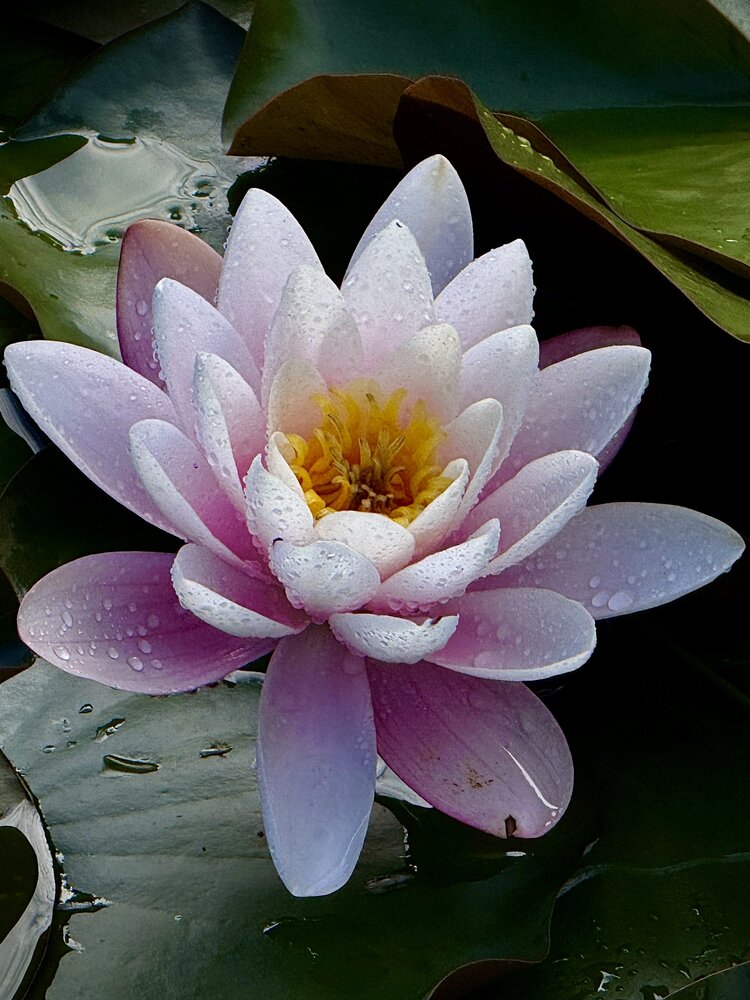 Photograph by Евгения Иванова