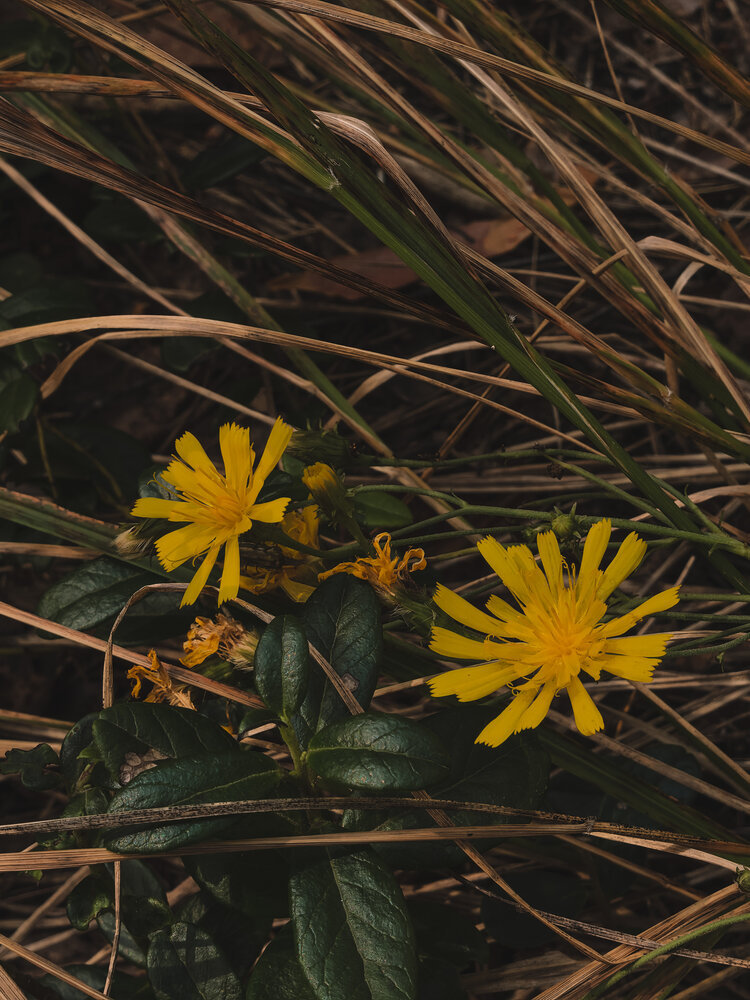Photograph by Екатерина Вакалова