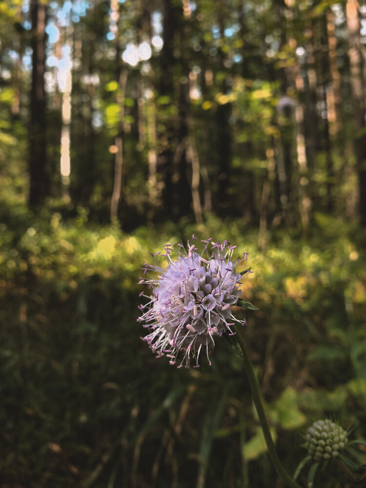 Photograph by Екатерина Вакалова