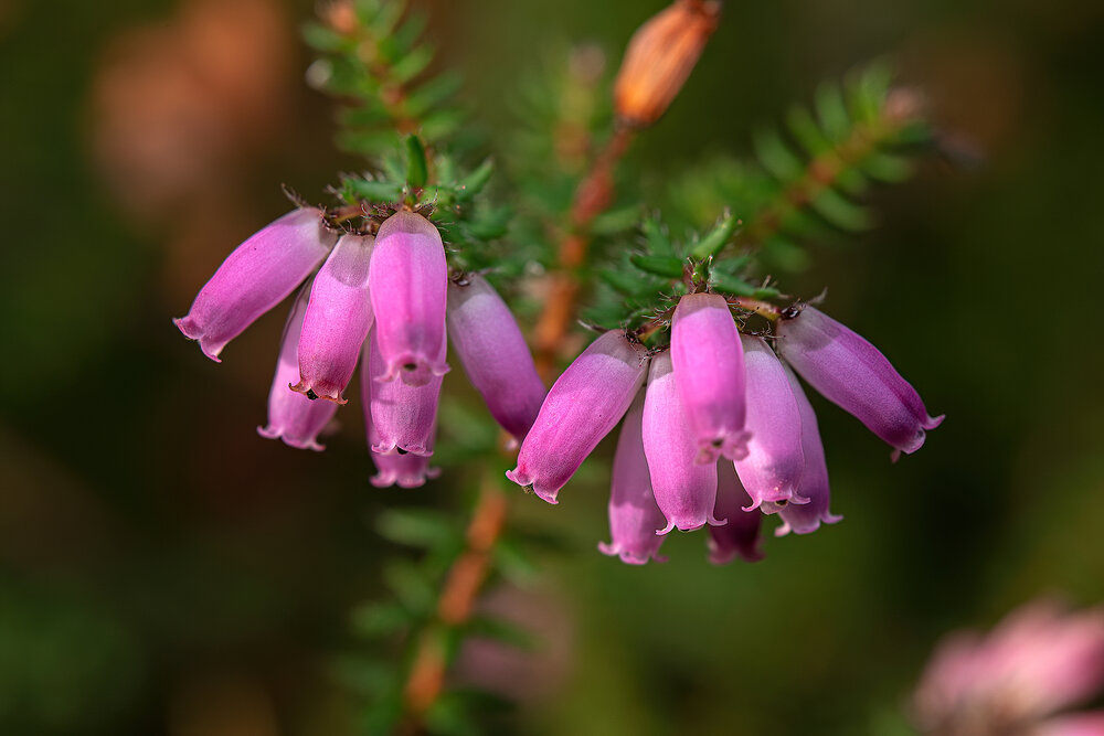Photograph by Makarov Viktor