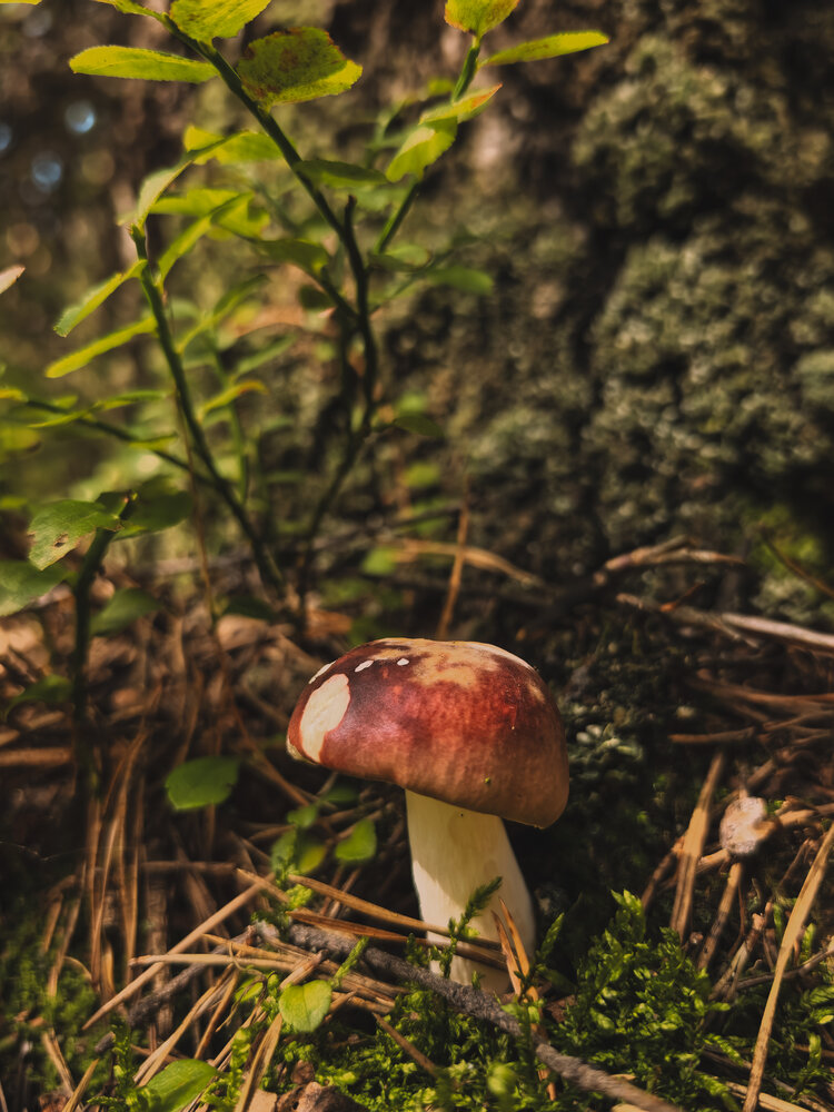 Photograph by Екатерина Вакалова
