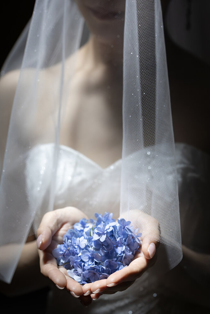 Photograph by miho imai