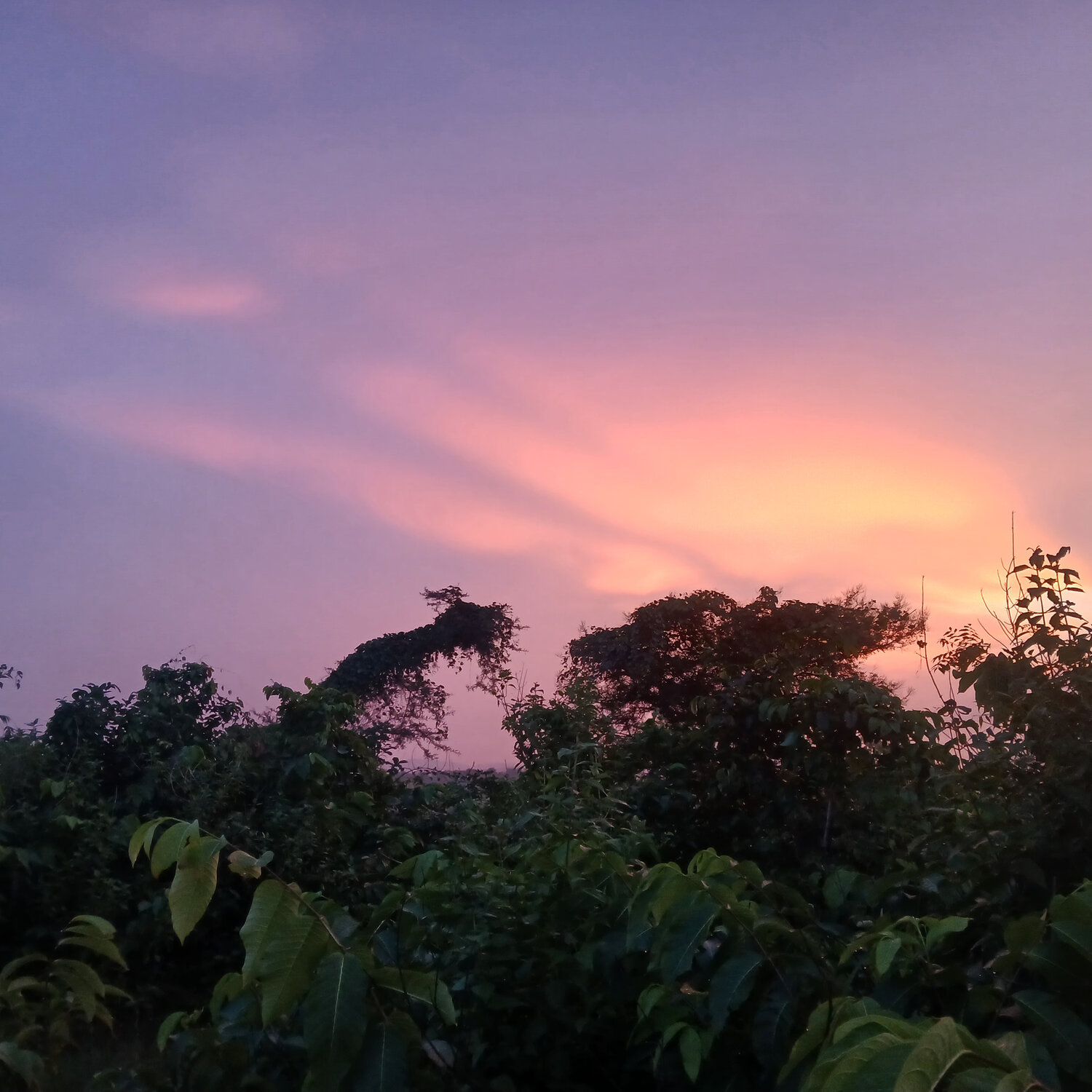 Nature