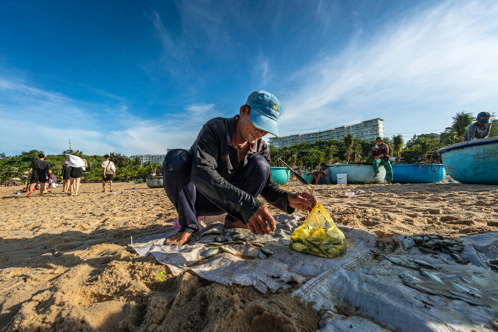 Фотография автора Minh Thuan Nguyen