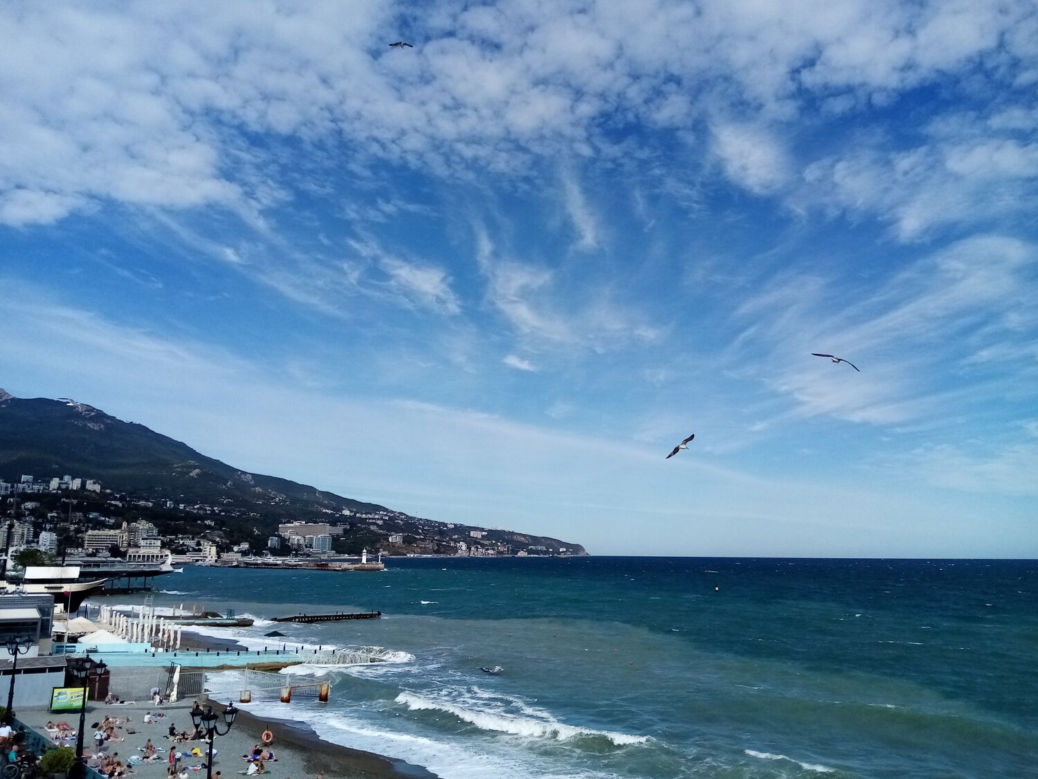 Photo #13915242