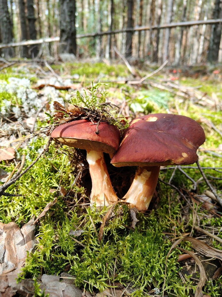 Photograph by Сергей Александрович