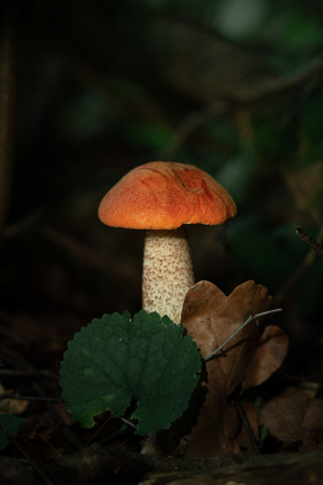 Photograph by Дмитрий Петрович