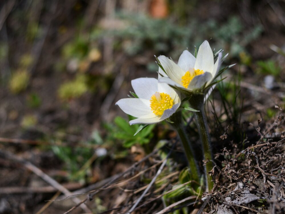 Photograph by Kirill Frolov