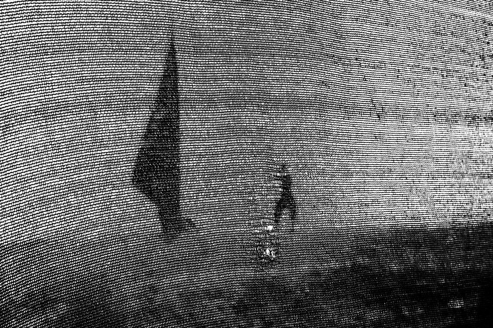 In search of identity