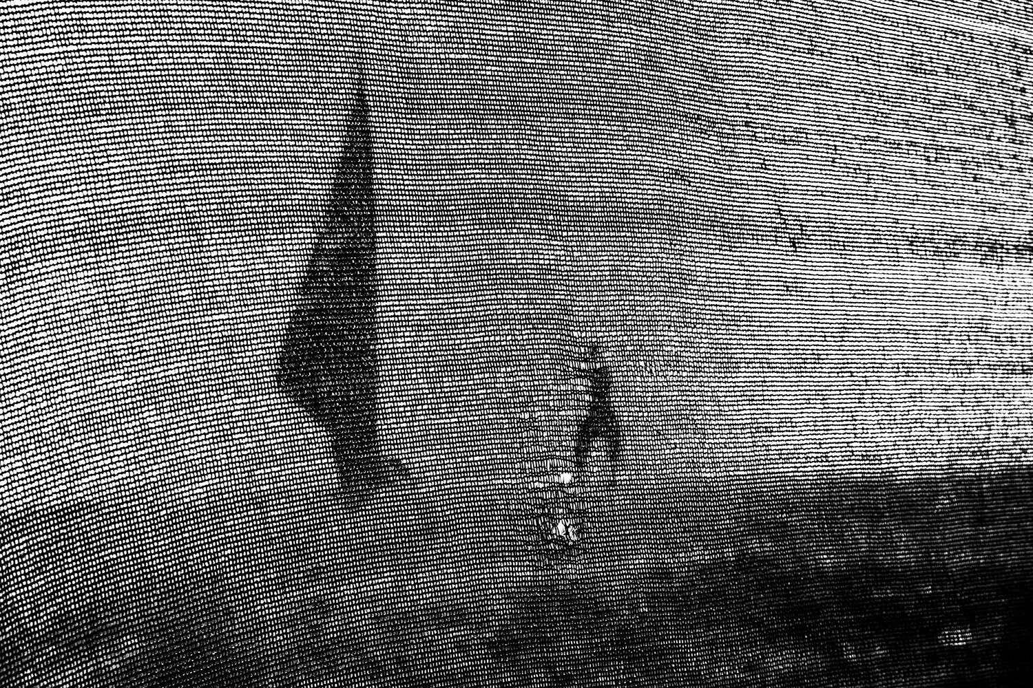 In search of identity