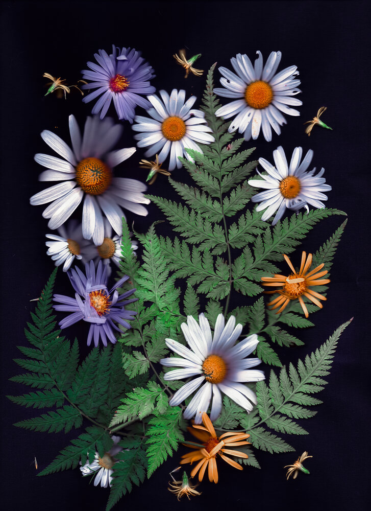 Photograph by Olga Akhmetova