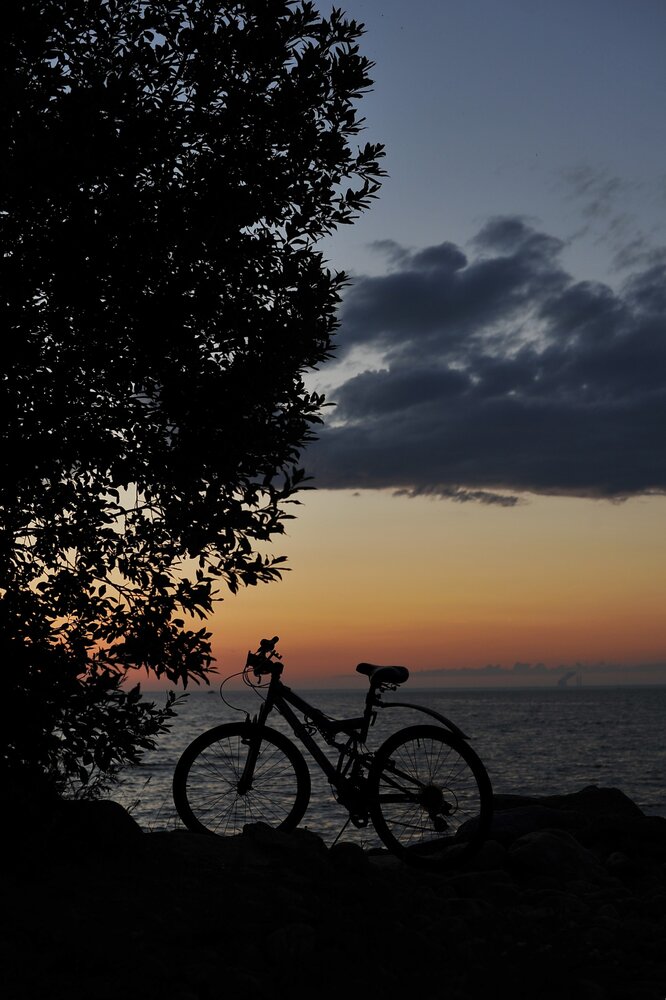 Photograph by Ольга Пушленкова