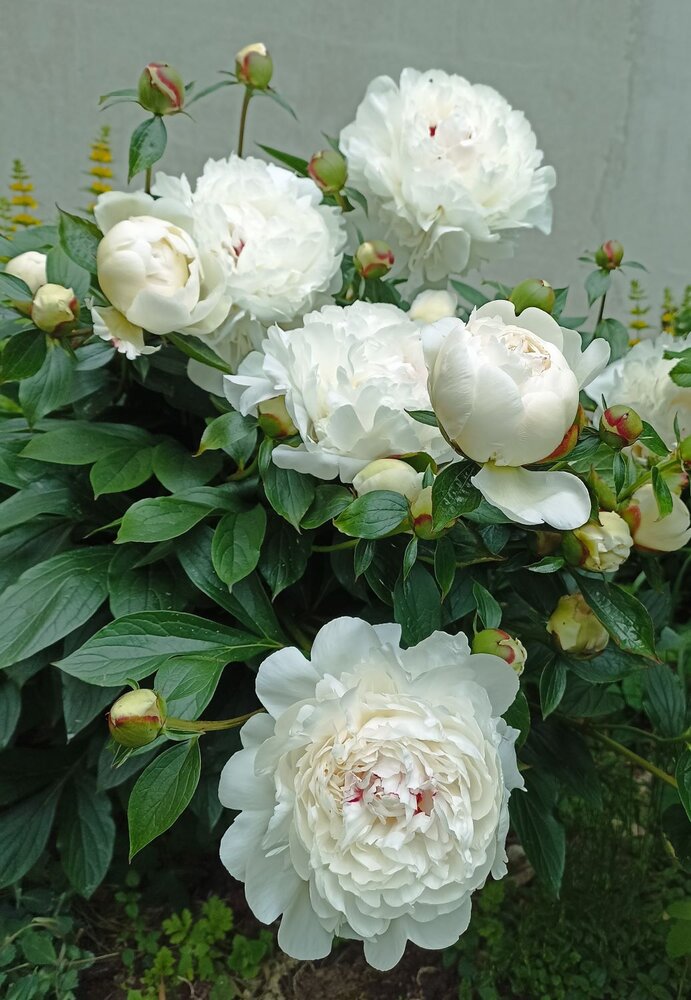 Photograph by Ирина Арканова