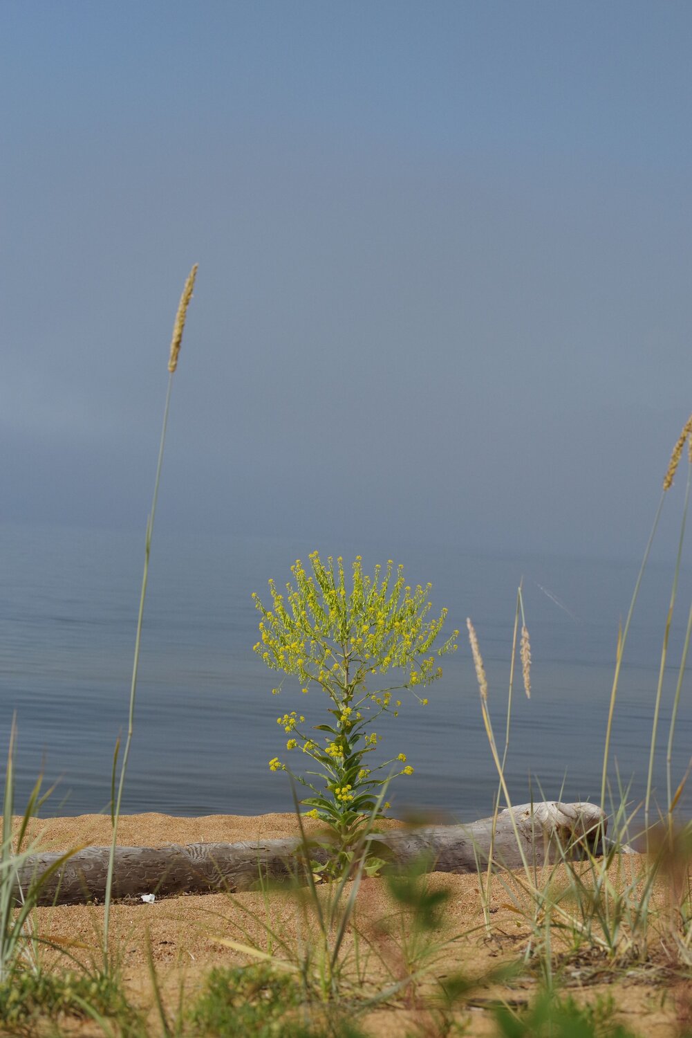 Photo #13915697