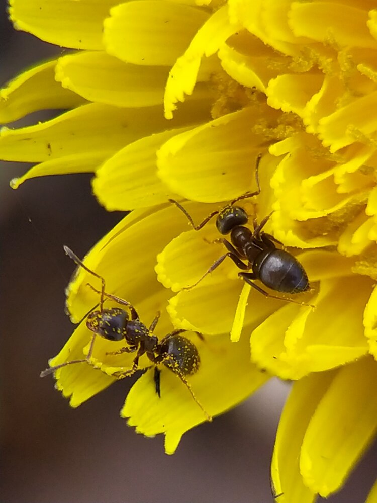 Photograph by Юлия Некрасова