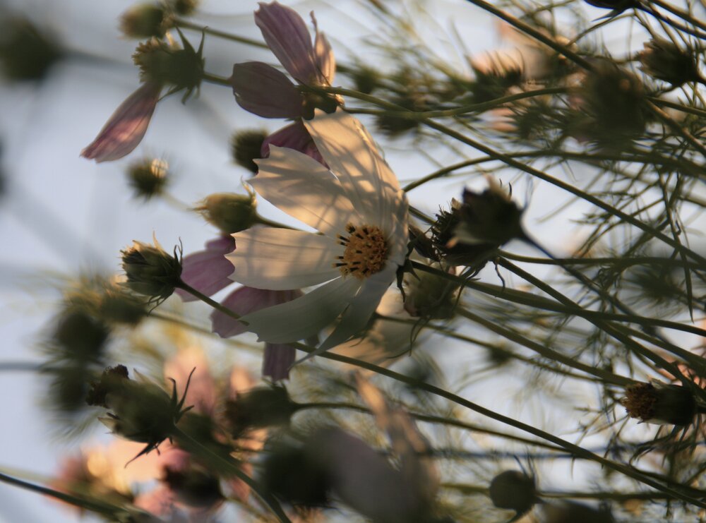 Photograph by Viktorija Bočarova