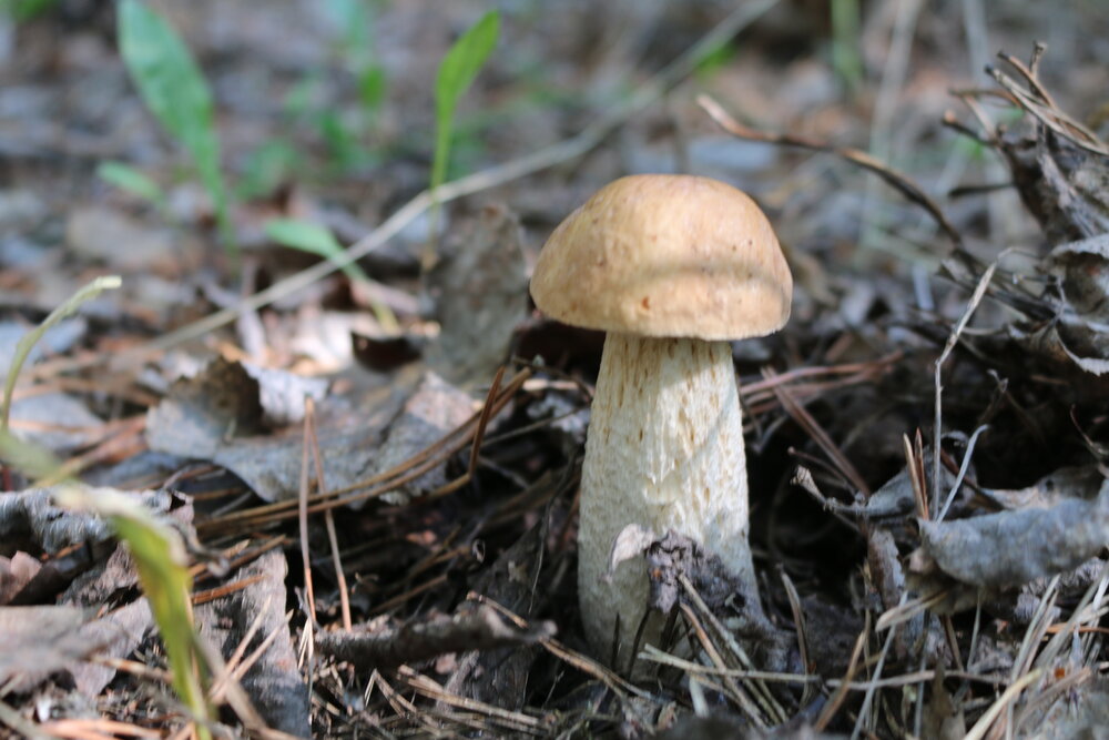 Photograph by Софья Белоногова