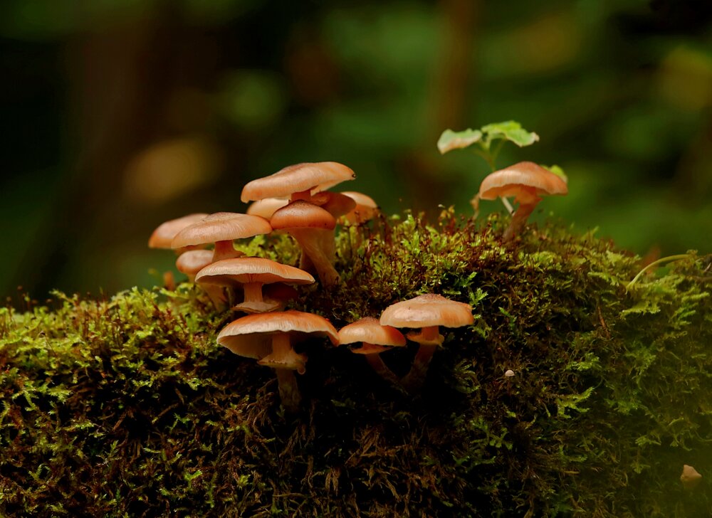 Photograph by Татьяна Слесарева