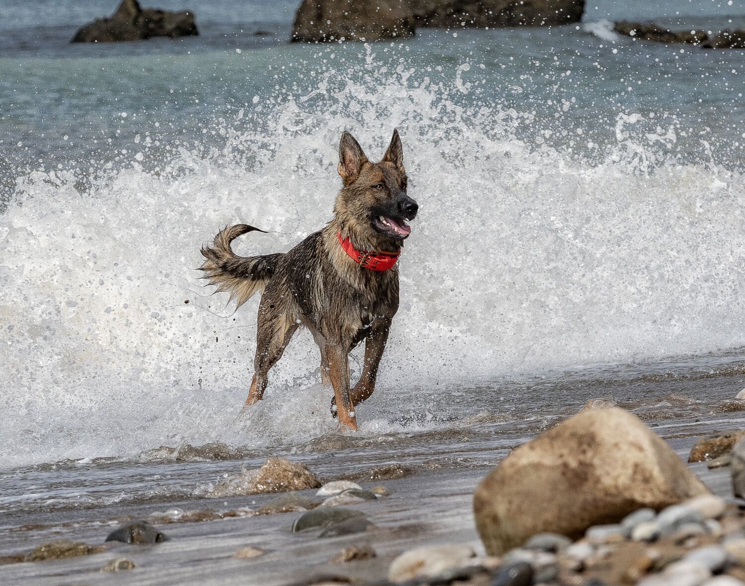 Photo #13915822