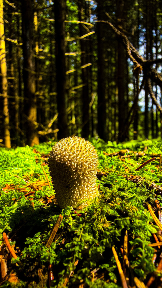 Photograph by Виктория Володько