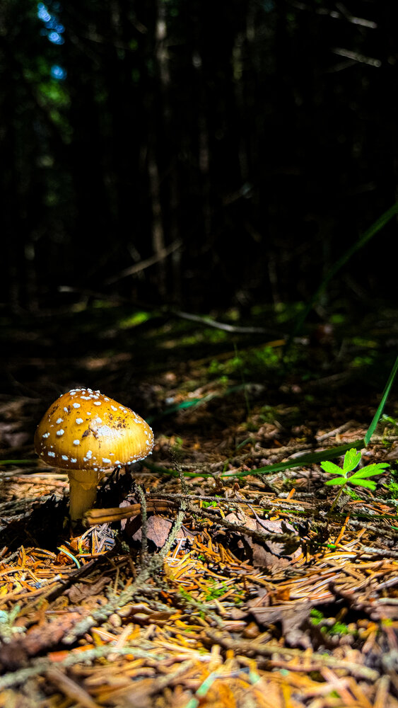 Photograph by Виктория Володько