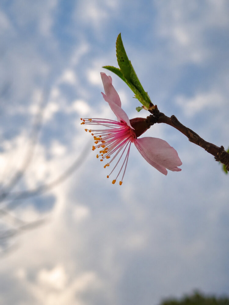 Photograph by Hurain Rauf