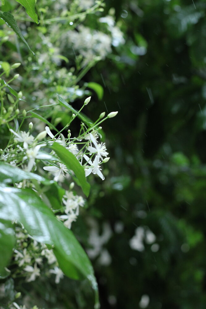 Photograph by Kandarp Mehta