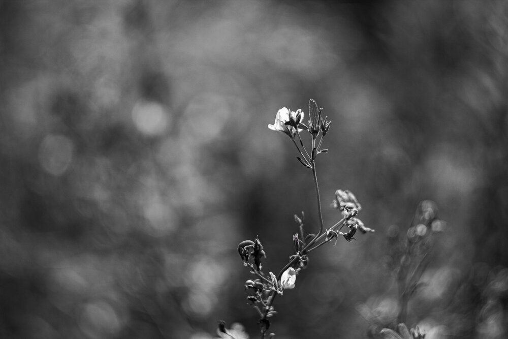 Photograph by Елена Андреева