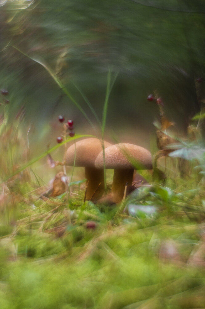 Фотография автора Mysov Ivan