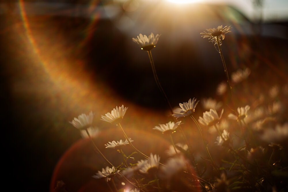 Photograph by Ольга Калимулина