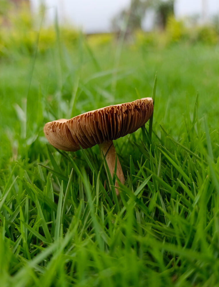 Photo #13915914