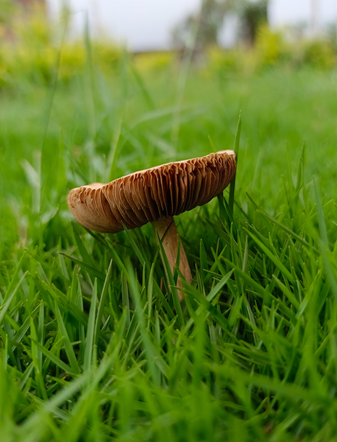 Photo #13915914