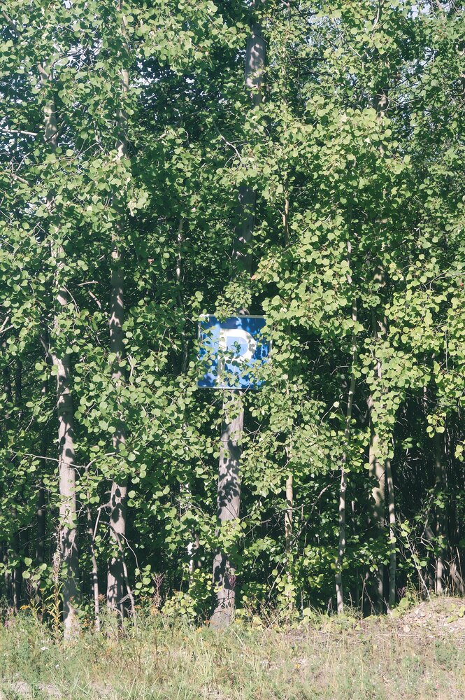 Photograph by Виктория Николаева
