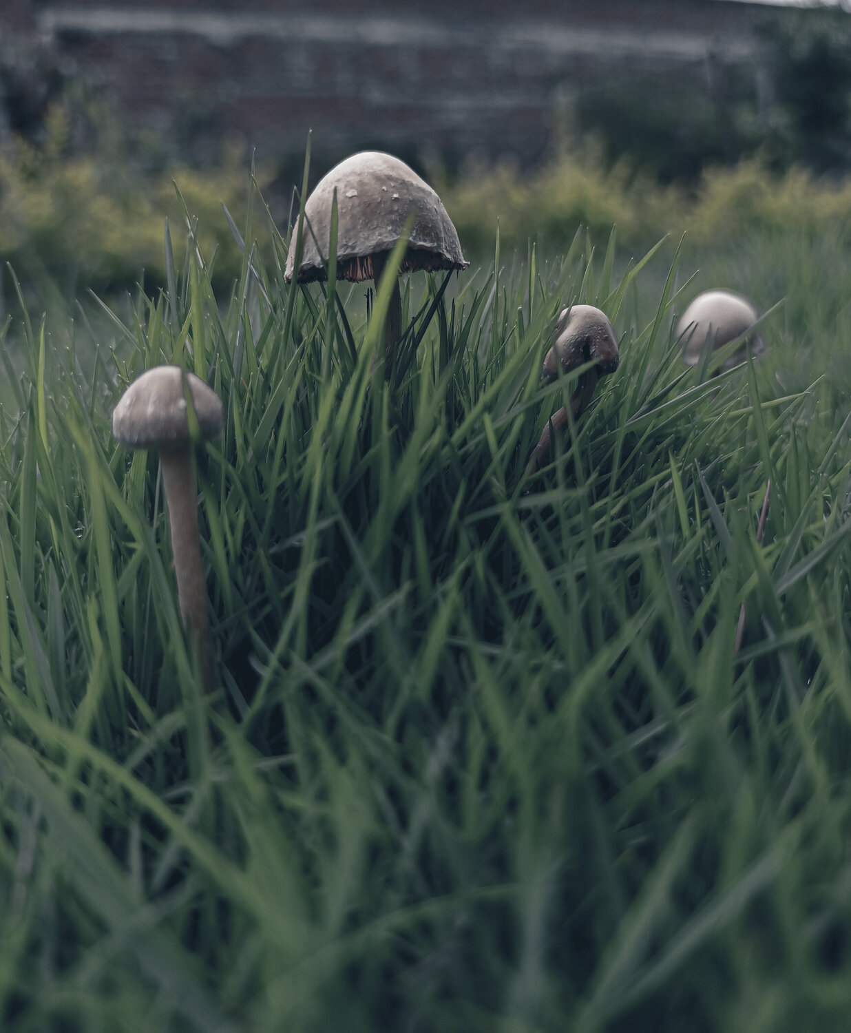 Photo #13915929