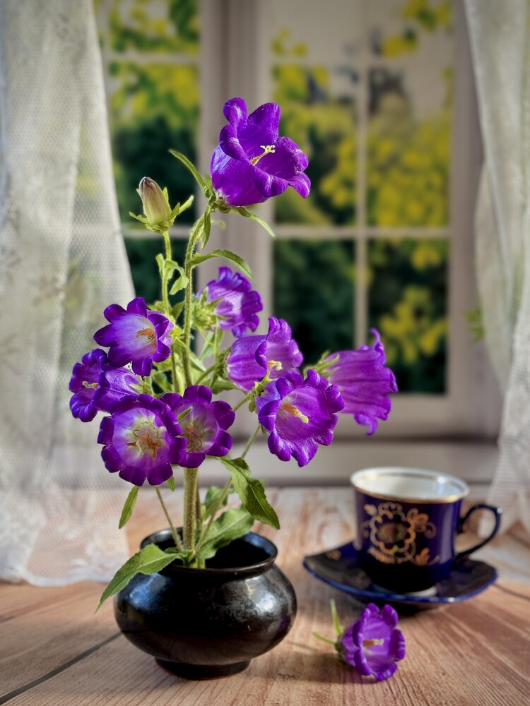 Photograph by Евгения Иванова