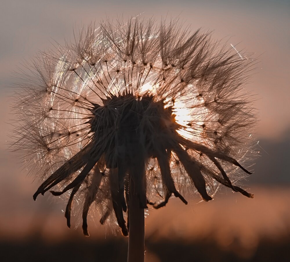 Photograph by Екатерина