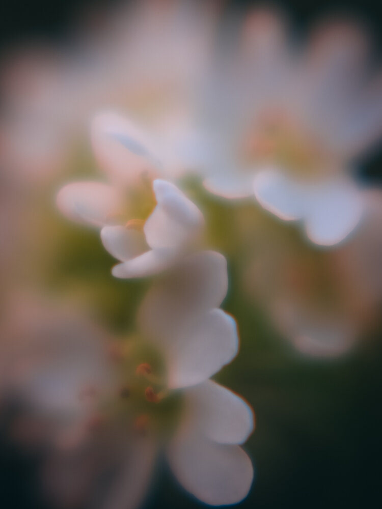 Photograph by Наталья Алфёрова