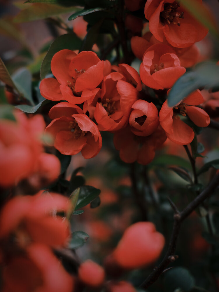 Photograph by Наталья Алфёрова