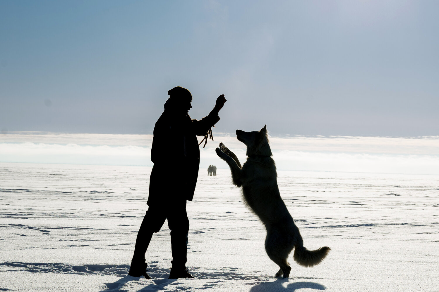 Photo #13915986