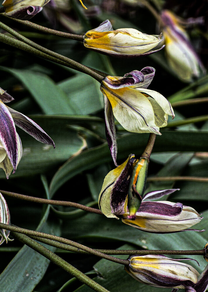 Photograph by Нина Зинченко