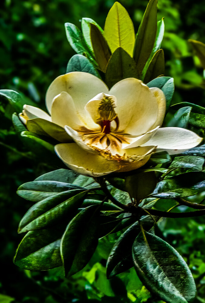 Photograph by Нина Зинченко