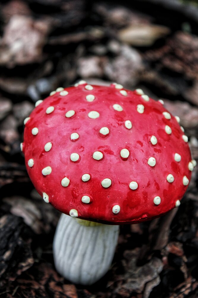 Photograph by Дарья Чертенкова