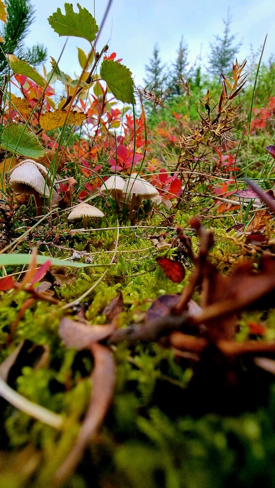 Photograph by Desislava Ivanova
