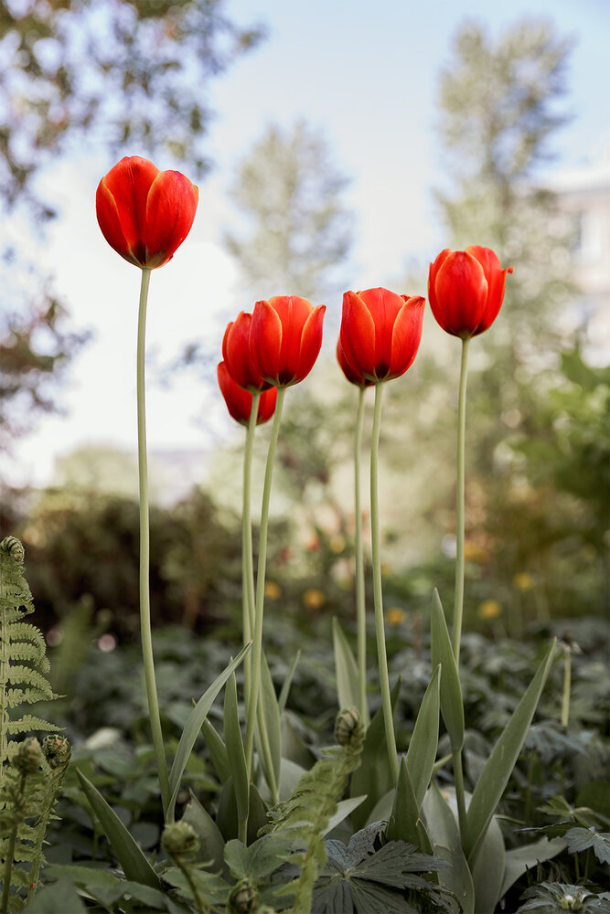 Photograph by Михаил Мак