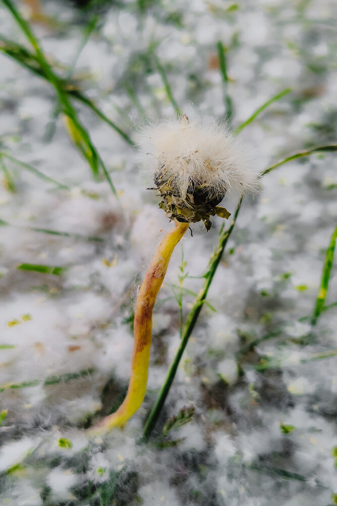 Photograph by Grushko Valeriya