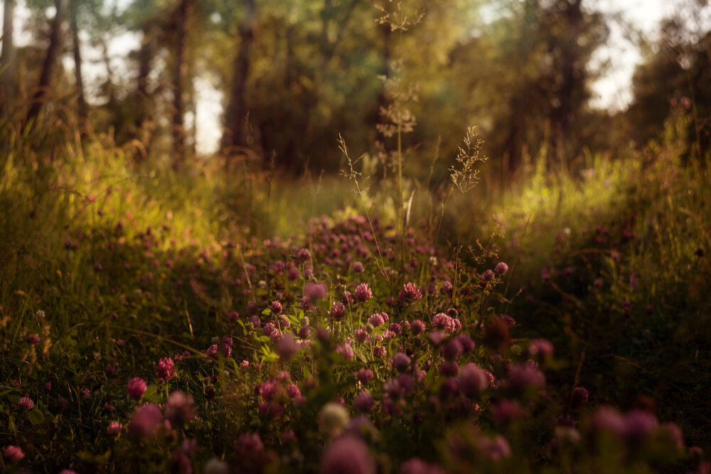 Photograph by Ольга Калимулина