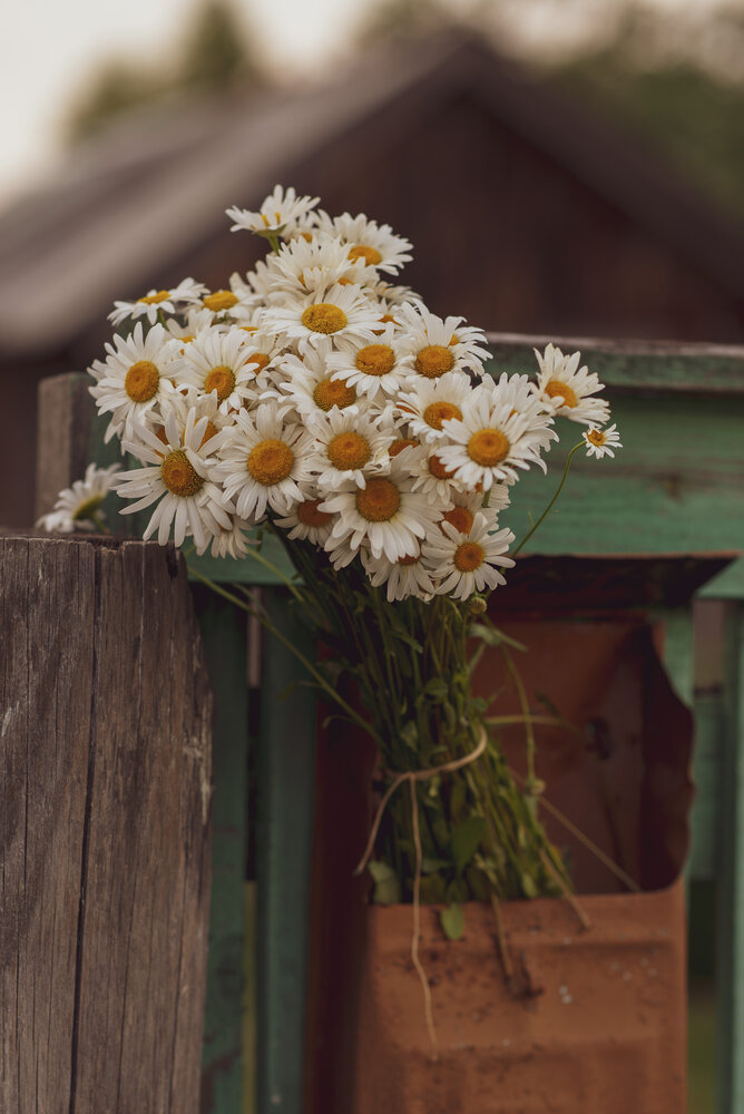 Photograph by Оксана Муравьева