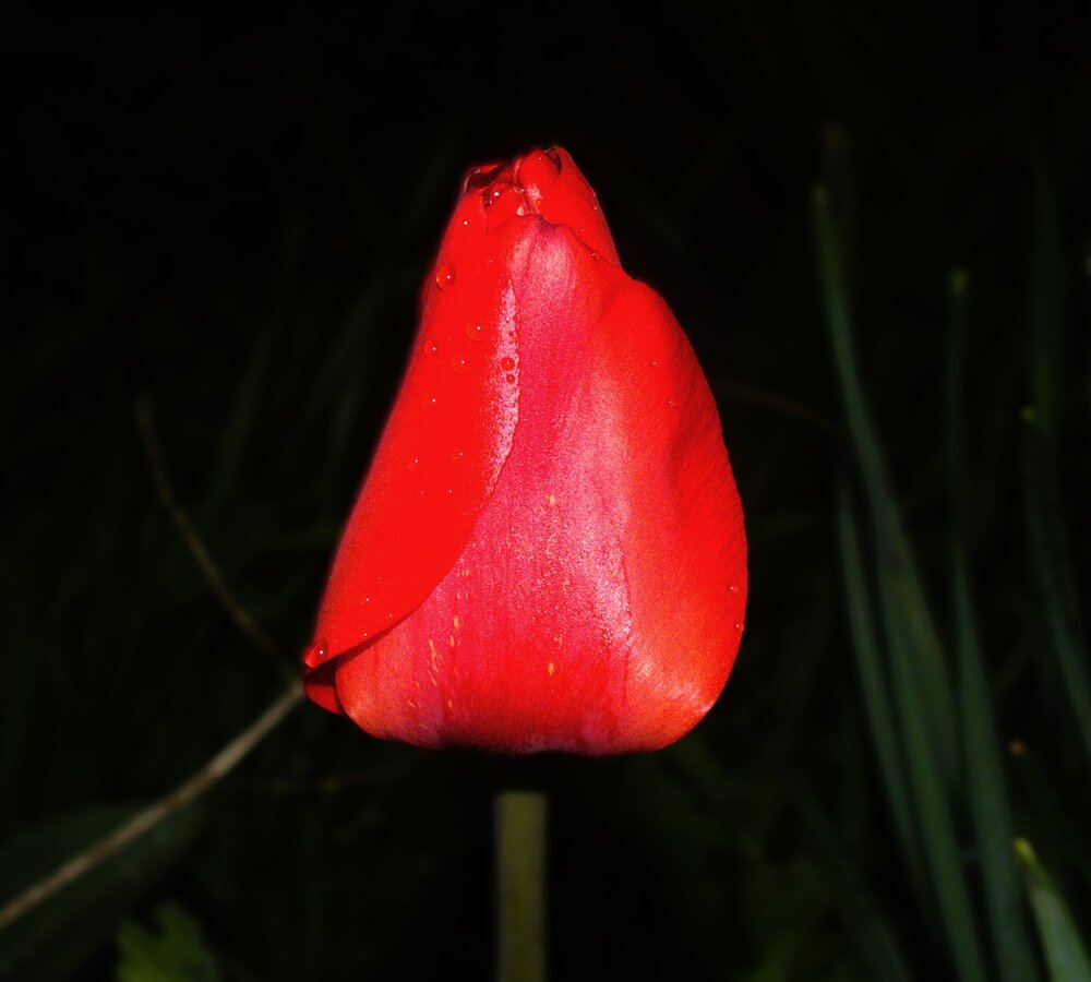 Photograph by Сергей Мамалюк