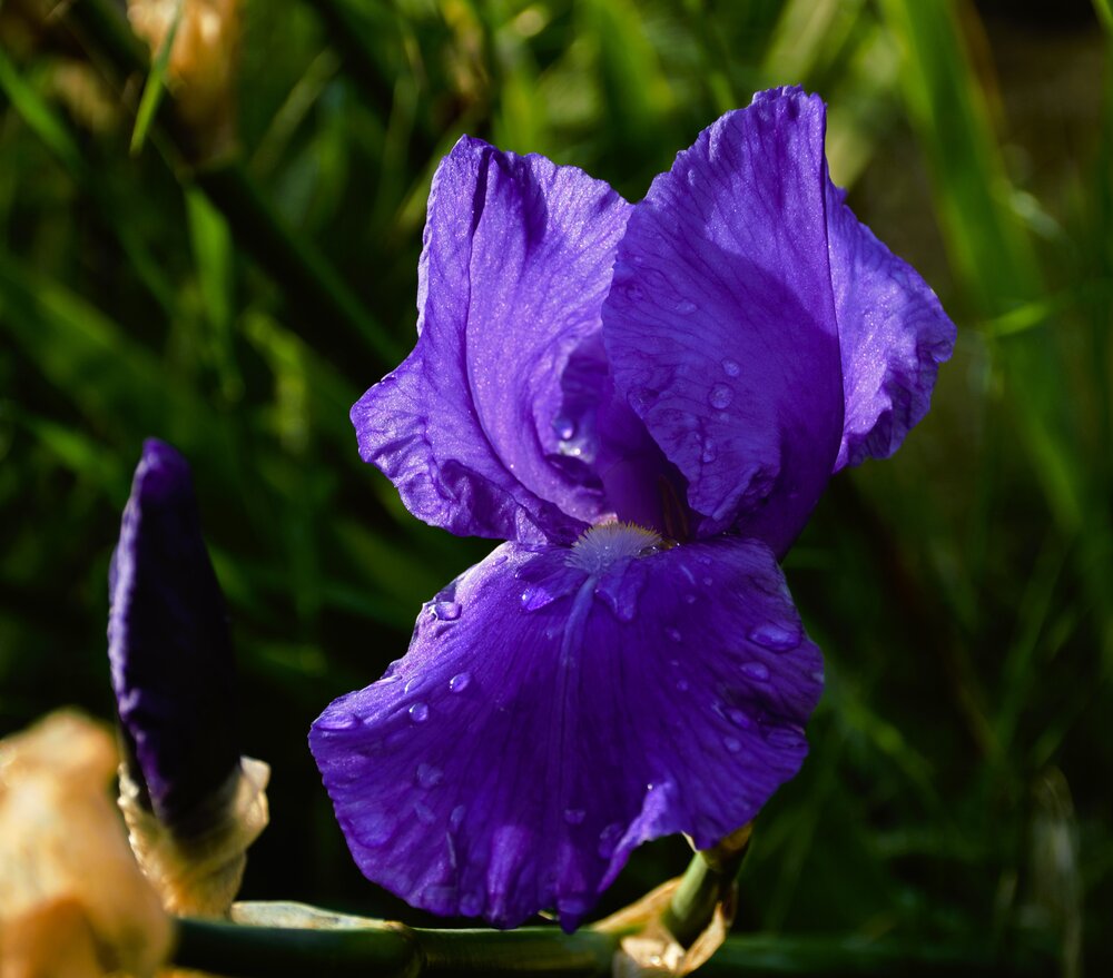Photograph by Сергей Мамалюк
